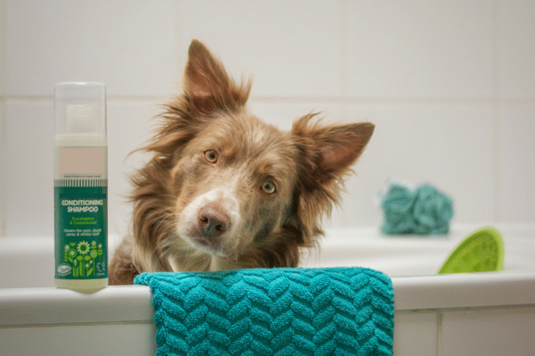 7 Expert Tips: How do I Choose the Right Dog Shampoo?