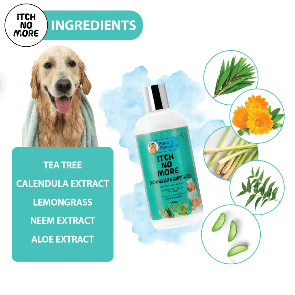 Papa Pawsome Itch No More Shampoo